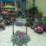 cvecara-ikebana-becej
